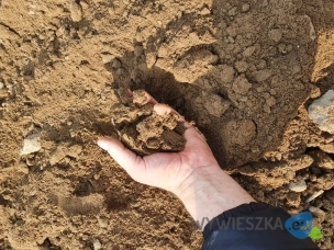 Ziemia ogrodowa sprzedaż transport