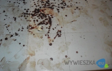 Opole dezynfekcja czyszczenie po samobójstwie zgonie zmarłym