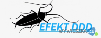 Efekt DDD - dezynfekcja, dezynsekcja, deratyzacja