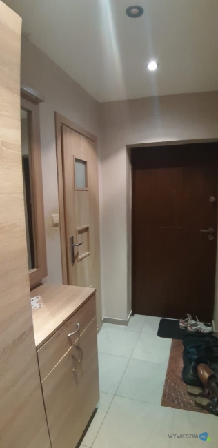 117215914_760219108127860_6868289097884604586_n