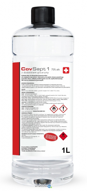 Wizualizacja 1L CovSept1