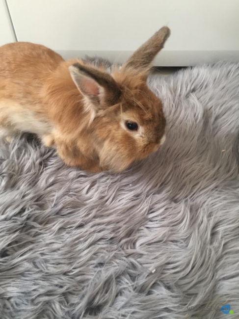 WhatsApp Image 2020-09-05 at 14.12.03