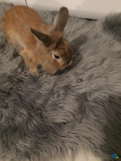 WhatsApp Image 2020-09-14 at 14.25.55