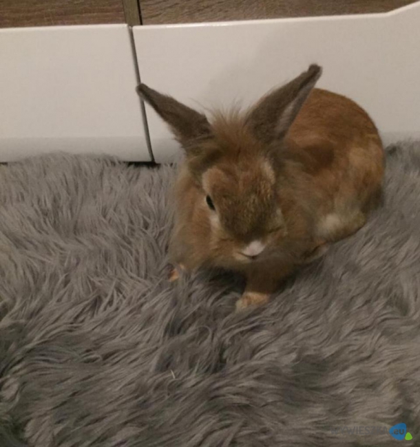 WhatsApp Image 2020-09-15 at 08.55.21