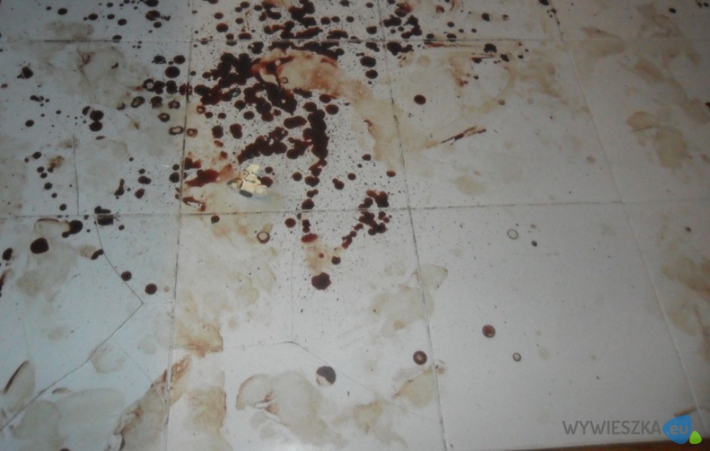 Sprzątanie po zwłokach rozkładzie zwłok Jędrzejów