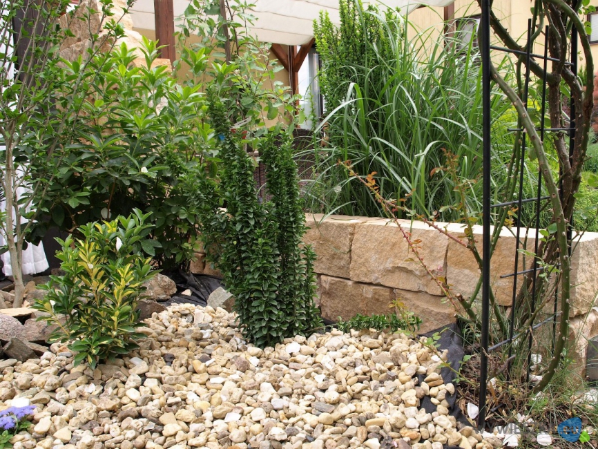 kamień murowy żółty